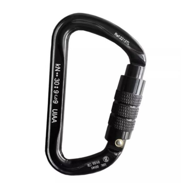 CULPEO Andes 2213TL D-shaped automatic main lock - Image 3