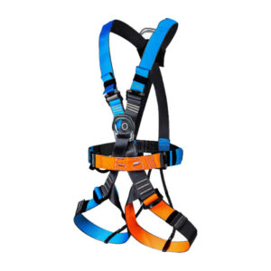 H062 Harness